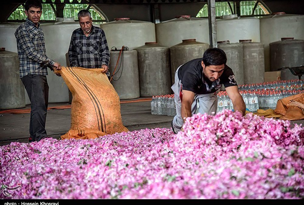 Hydrolats or Floral Waters