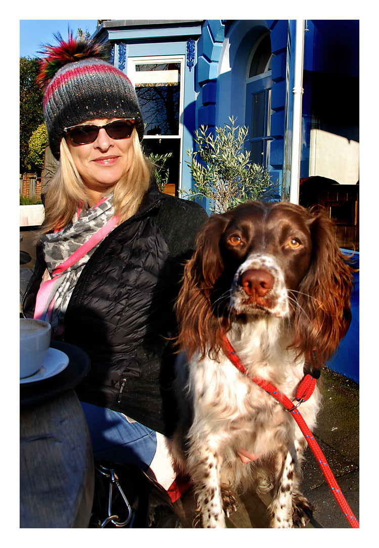 Arnica Oil Infused for Animals
