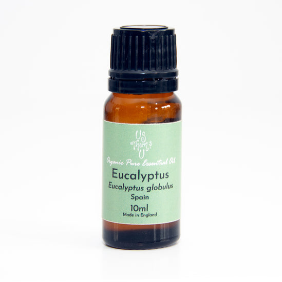 Eucalyptus Globulus