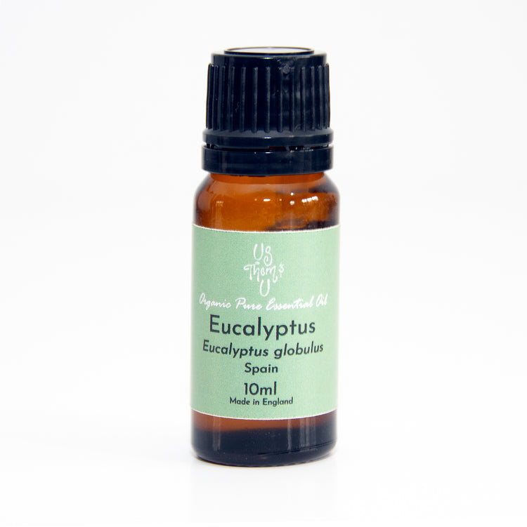 Eucalyptus Globulus