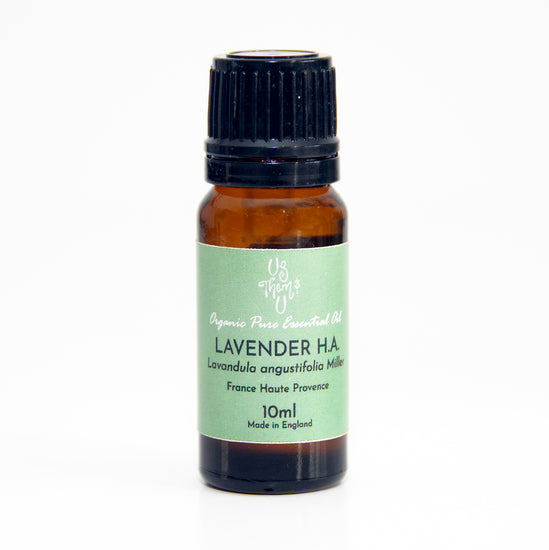 Lavender Haute Alpe