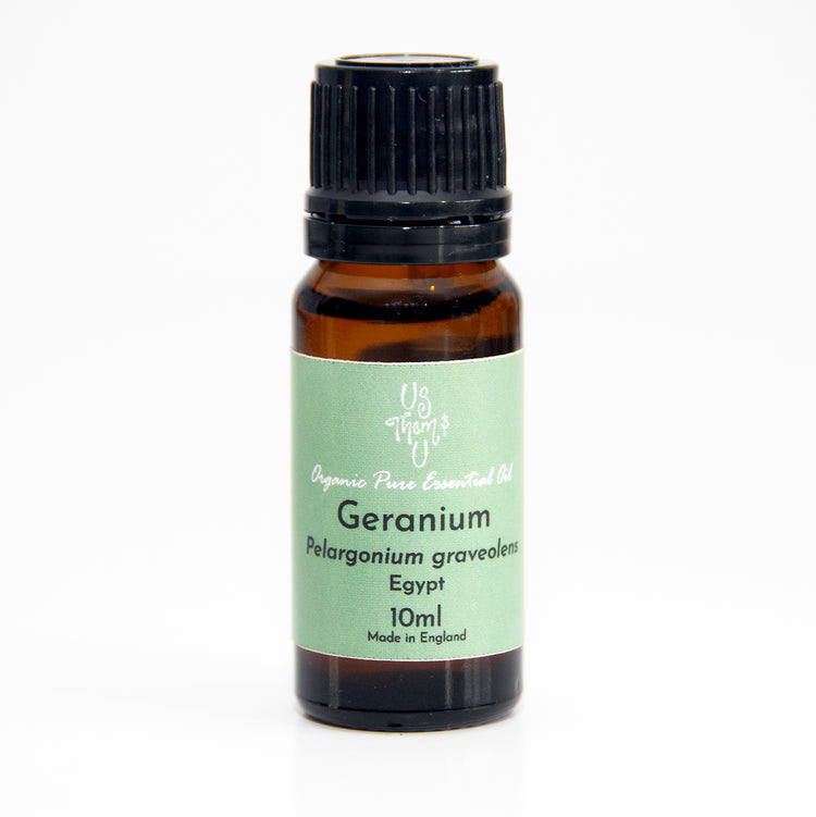 Geranium