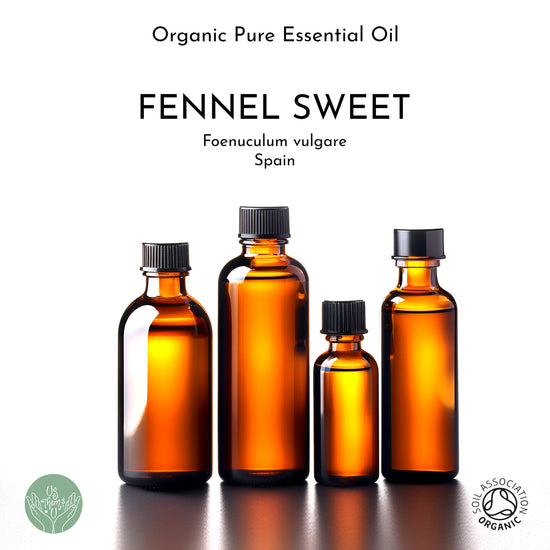 UsthemandU Fennel Sweet organic pure essential oil for aromatherapy